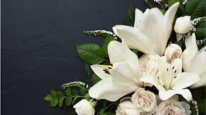 Marla Gale, Death Car Accident Saratoga Springs, Utah Resident, Died In Traffic Collision